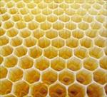 طرح-توجیهی-تولید-کندوی-عسل-صندوق-میوه-سنتی-چهارچوب-در-و-پنجره