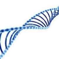 تحقیق جهش و تغييرات ژنتيك