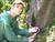 تحقیق تزریق مواد شیمیایی در تنه درختان