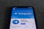بانک-شماره-موبایل-های-تلگرام-(نسخه-ویرایش-شده-و-منظم-شده)