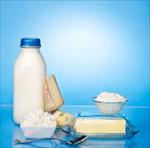 طرح-توجیهی-تولید-شیر-و-محصولات-لبنی