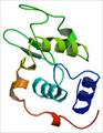 تحقیق پروتئین و انواع ساختارهای آن