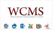 پاورپوینت سیستم های مدیریت محتوای وب (WCMS)