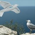 تحقیق طراحی و شبیه سازی ربات پرنده