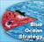 استراتژی اقیانوس آبی و توسعه حسابداری مدیریت استراتژیک
