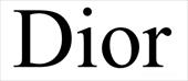 پاورپوینت برند دیور (Dior)