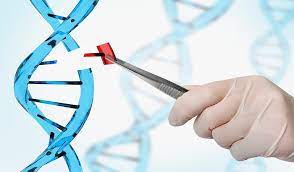 دانلود پاورپوینت ژن درمانی و بيماری های ژنتيكی 2021