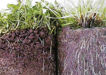 طرح جابر  ترکیبات خاک و تاثیر آن بر رشد گیاهان قابل استفاده برای همه پایه های ابتدایی (فایل ورد )