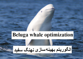 بررسی الگوریتم بهینه‌سازی نهنگ سفید یا نهنگ بلوگاه برروی توابع پیوسته