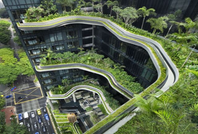 تحلیل هتل رویال سنگاپور
